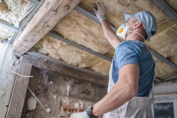 Best Insulation Maintenance and Repair in Winters, TX